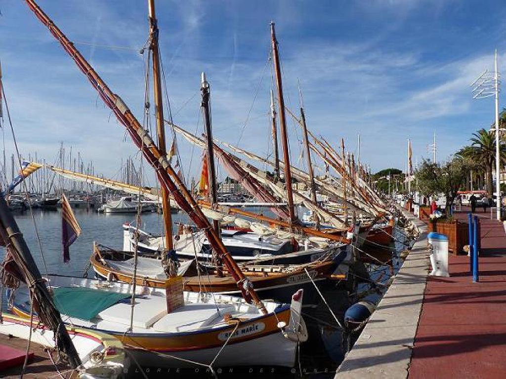 183 D16 BANDOL-1_000005.jpg
